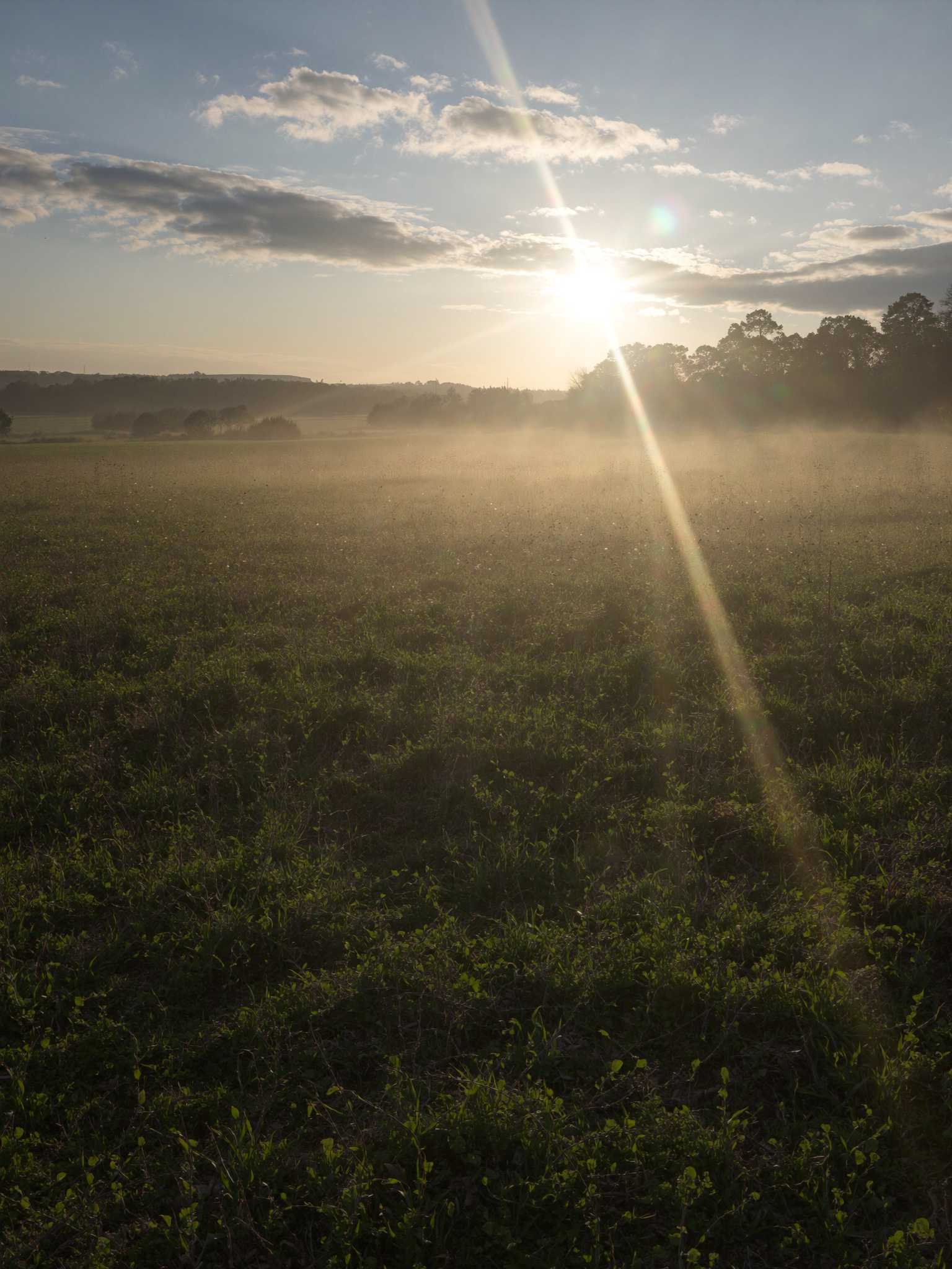 hf_20260616_000628_b8045f18-06d7-4c55-9139-5a1961daa117.png