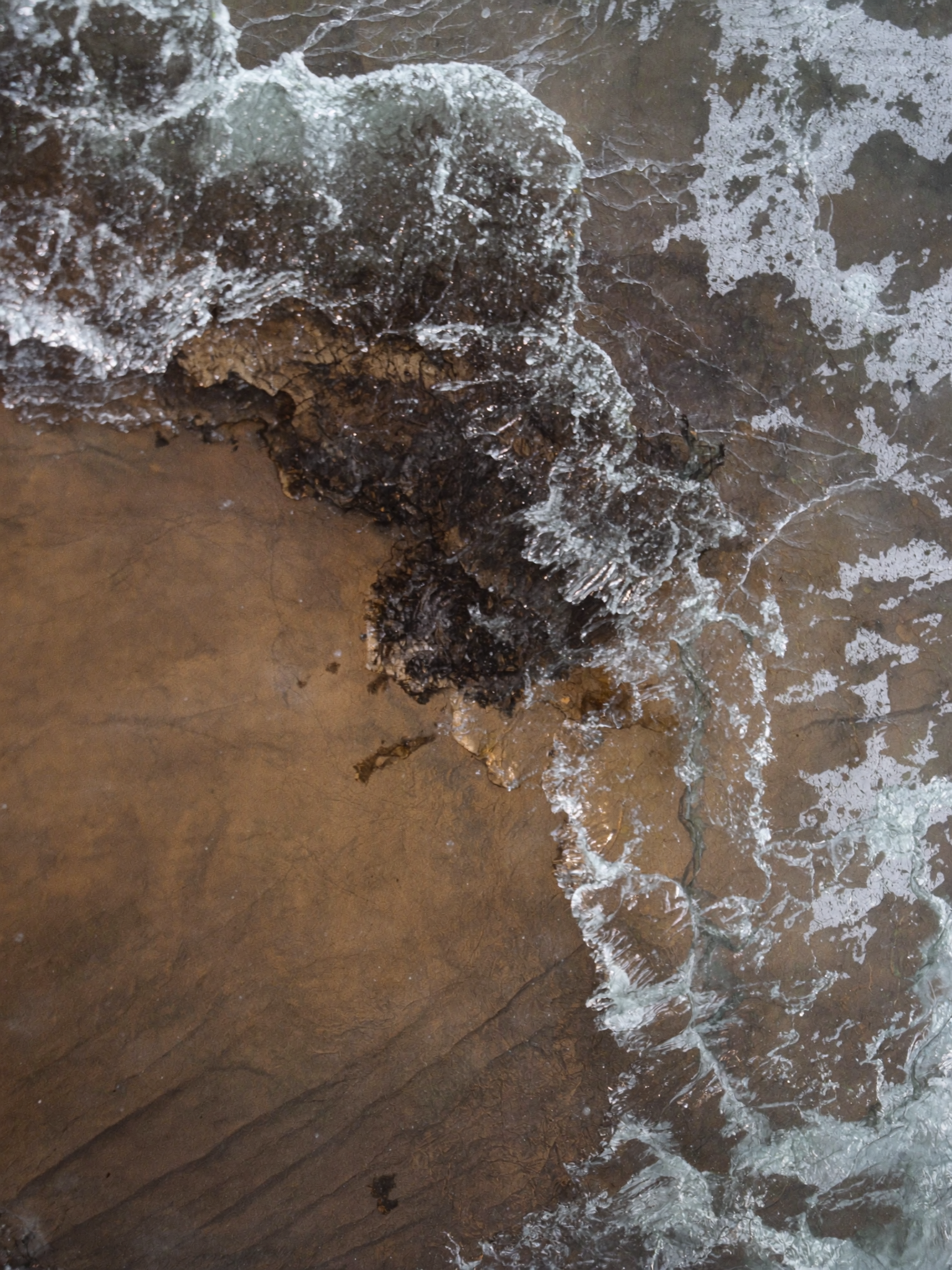 hf_20260616_012332_5b8bf22c-651b-43fd-9c96-cee2e0b8b62c.png